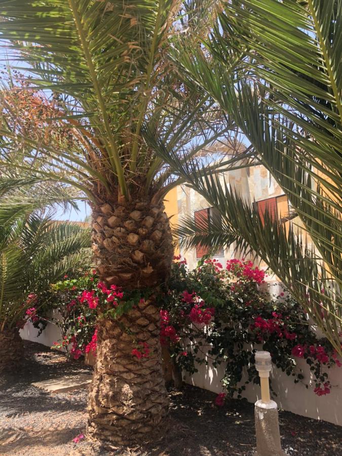Apartamento Sunny Complex Amaya Fuerteventura Costa De Antigua Kültér fotó
