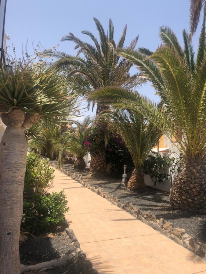 Apartamento Sunny Complex Amaya Fuerteventura Costa De Antigua Kültér fotó